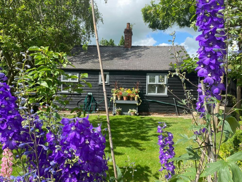 Thompsons Cottage Beverley Exteriér fotografie