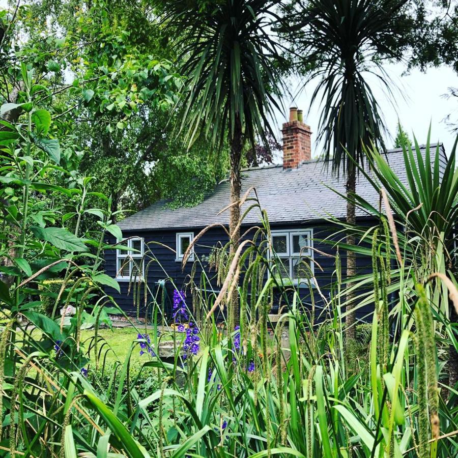 Thompsons Cottage Beverley Exteriér fotografie